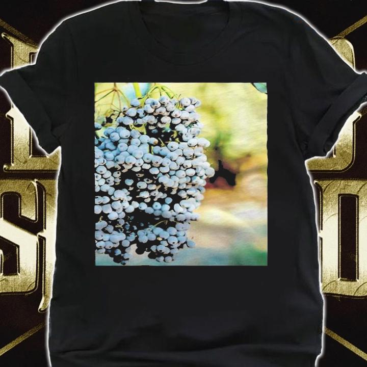 Blueberries fruits food healthy trees nature T-shirt t-shirt shirt
