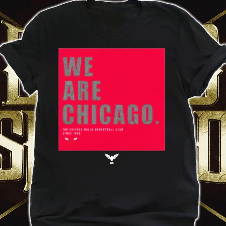 We Are Chicago Aawol X Chicago Bulls Shirt t-shirt shirt